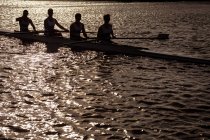 Vista laterale di una squadra di canottaggio di quattro uomini caucasici in allenamento silhouette e canottaggio sul fiume, seduti in una barca a remi al tramonto — Foto stock