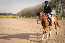 Front view of smartly dressed African American male horse rider riding his chestnut horse in a paddock at a show jumping event on a sunny day. — Stock Photo