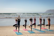 Rear view of a multi-ethnic group of female friends enjoying exercising on a beach on a sunny day, practicing yoga, standing in tree position. — Stock Photo