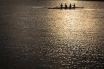 Vue latérale lointaine d'une équipe de quatre femmes caucasiennes s'entraînant sur la rivière, ramant dans une coquille de course au lever du soleil, avec la lumière du soleil reflétée dans les ondulations de l'eau au premier plan — Photo de stock