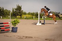 Side view of smartly dressed African American man riding his chestnut horse at a show jumping event on a sunny day, jumping a fence — Stock Photo