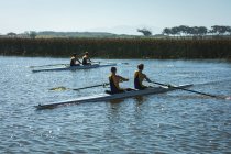 Side view of two rowing teams of two Caucasian men training and rowing on the river, sitting in their rowing boats holding oars on a sunny day — Stock Photo