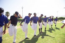 Бейсболисты, растянувшиеся в ряд — стоковое фото