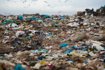 Vogelschwärme fliegen über Fahrzeuge, die arbeiten und Müll entsorgen, der sich auf einer Mülldeponie mit wolkenverhangenem Himmel im Hintergrund türmt. Globale Umweltfrage der Abfallentsorgung. — Stockfoto