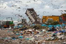 Flock of birds flying over vehicles working, clearing and delivering rubbish piled on a landfill full of trash with cloudy overcast sky in the background. Global environmental issue of waste disposal. — Stock Photo