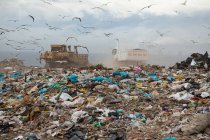 Stormo di uccelli che sorvolano veicoli che lavorano e ripuliscono rifiuti accumulati su una discarica piena di spazzatura con cielo nuvoloso coperto sullo sfondo. Questione ambientale globale dello smaltimento dei rifiuti. — Foto stock