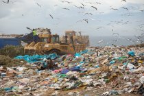 Stormo di uccelli che sorvolano veicoli che lavorano, si schiariscono e trasportano spazzatura in una discarica piena di spazzatura con cielo nuvoloso coperto sullo sfondo. Questione ambientale globale dello smaltimento dei rifiuti. — Foto stock