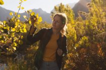 Вид спереди на кавказку, хорошо проводящую время в поездке в горы, гуляющую по полю, смотрящую на листья, в солнечный день — стоковое фото