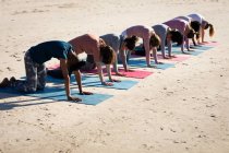 Vista lateral de um grupo multi-étnico de amigas que gostam de se exercitar em uma praia em um dia ensolarado, praticando ioga, ajoelhando-se em posição de ioga. — Fotografia de Stock