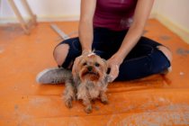 Low section of woman spending time at home self isolating and social distancing in quarantine lockdown during coronavirus covid 19 epidemic, taking a break while painting the walls in her home, petting her dog. — Stock Photo