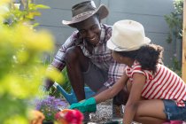 African American girl and her father social distancing at home during quarantine lockdown, spending time in their garden together, planting flowers, on a sunny day. — Stock Photo