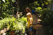 Eine kaukasische Frau mit Schürze und ihre Tochter genießen die gemeinsame Zeit in einem sonnigen Garten, betrachten gemeinsam Pflanzen und tragen eine Auswahl an Pflanzen in Körben. — Stockfoto
