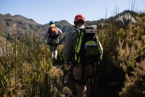 Visão traseira do casal caucasiano desfrutando de tempo na natureza juntos, usando equipamento de tirolesa, caminhadas em um dia ensolarado nas montanhas — Fotografia de Stock