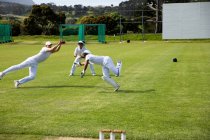 Seitenansicht einer multiethnischen Cricket-Mannschaft, die Weiße trägt, auf einem Cricketplatz steht und während eines Spiels an einem sonnigen Tag nach dem Ball springt. — Stockfoto