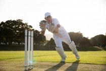 Front view of a teenage Caucasian male cricket player wearing whites and a cup, diving trying to catch a cricket ball, by a wicket on the pitch during a sunny day — Stock Photo