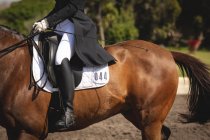 Side view low section of a smartly dressed female dressage rider sitting on a chestnut horse during dressage show on a sunny day. — Stock Photo