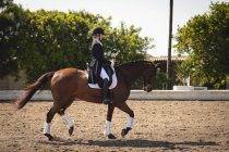 Side view of a smartly dressed Caucasian female dressage rider riding a chestnut horse during dressage show on a sunny day. — Stock Photo