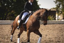 Side view of a smartly dressed Caucasian female dressage rider riding a chestnut horse, waving her hand during dressage show on a sunny day. — Stock Photo
