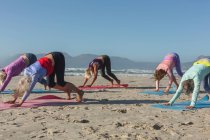 Gruppo di amiche caucasiche che si esercitano su una spiaggia in una giornata di sole, praticano yoga e si trovano in posizione di cane. — Foto stock