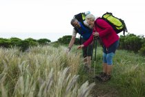 Senioren verbringen Zeit miteinander in der Natur, wandern in den Bergen, berühren Gras und lächeln. Gesunder Lebensstil im Ruhestand. — Stockfoto