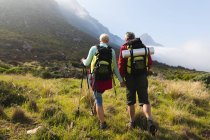 Pareja mayor pasando tiempo en la naturaleza juntos, caminando por las montañas, tomados de la mano. estilo de vida saludable actividad de jubilación. - foto de stock