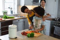 Смешанная раса лесбиянок пара и дочь готовят еду на кухне. самоизоляция качество семейное время дома вместе во время коронавируса ковид 19 пандемии. — стоковое фото