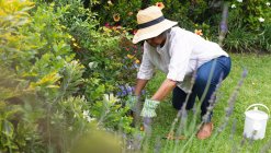 Pensativo afroamericano anciano mujer con guantes de jardinería jardinería en el jardín. permaneciendo en aislamiento en cuarentena - foto de stock