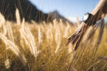 Close up of tall grass in sunlight in mountain countryside with african american hand. beauty in nature during summer time, tranquility in relaxing scenic location. — Stock Photo