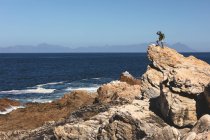 Uomo afroamericano che si allena all'aperto facendo escursioni su una montagna. allenamento fitness e stile di vita sano all'aperto. — Foto stock