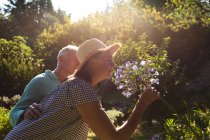 Щаслива кавказька старша пара, що гуляє в сонячному саду, пахне квітами. перебування вдома в ізоляції під час карантину . — стокове фото