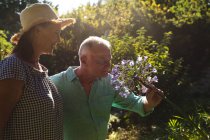 Glückliche kaukasische Senioren spazieren im sonnigen Garten und riechen Blumen. Isolationshaft während der Quarantäne. — Stockfoto