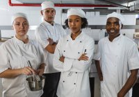Retrato de diversos chefs profesionales de raza masculina y femenina. trabajando en una cocina ajetreada. - foto de stock
