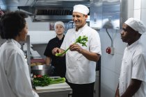 Diversa raza de chefs profesionales masculinos y femeninos preparando verduras. trabajando en una cocina ajetreada. - foto de stock