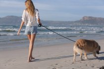 Mujer caucásica paseando a un perro en la playa. tiempo de ocio al aire libre saludable junto al mar. - foto de stock