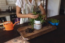 Milieu de femmes caucasiennes plantant des plantes debout dans la cuisine de chalet ensoleillée. mode de vie sain, proche de la nature dans la maison rurale hors réseau. — Photo de stock