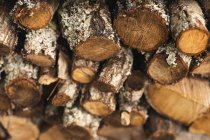 Close up of pile of cut and stacked multiple wooden logs outdoors. firewood and supplies. — Stock Photo