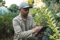 Jardinero masculino afroamericano usando tableta en el centro del jardín. especialista en vivero de plantas bonsái, empresa hortícola independiente. - foto de stock