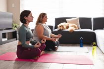Lesbian couple practicing yoga, meditating on yoga mats. domestic lifestyle, spending free time at home. — Stock Photo