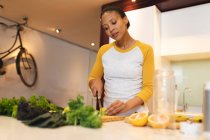 Mixed race woman standing in kitchen chopping vegetables. domestic lifestyle, enjoying leisure time at home. — Stock Photo