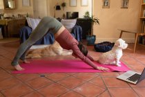 Donna caucasica in soggiorno con i suoi cani da compagnia, praticare yoga, utilizzando il computer portatile. stile di vita domestico, godendo del tempo libero a casa. — Foto stock