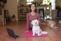 Smiling caucasian woman in living room with her pet dogs, practicing yoga, using laptop. domestic lifestyle, enjoying leisure time at home. — Stock Photo