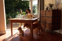 Белая женщина в гостиной со своими домашними собаками, сидит за покраской стола. домашний образ жизни, наслаждаясь отдыхом дома. — стоковое фото