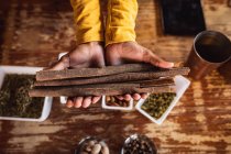 Close up view of hands holding cinnamon sticks at gin distillery. alcohol production and filtration concept. — Stock Photo