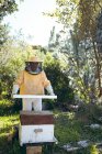 Старший белый мужчина в пчеловодческой форме, держит соты с пчелами. пчеловодство, пасека и мёд. — стоковое фото