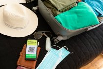 Suitcase, smartphone with covid 19 vaccine passport,face masks and disinfectant liquid. holiday and travel preparation during covid 19 pandemic. — Stock Photo