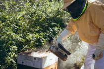 Caucasian senior man wearing beekeeper uniform trying to calm bees with smoke. beekeeping, apiary and honey production concept. — Stock Photo