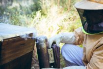 Uomo anziano caucasico in uniforme da apicoltore che cerca di calmare le api con il fumo. apicoltura, apiario e miele concetto di produzione. — Foto stock