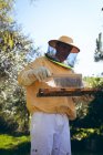 Uomo anziano caucasico che indossa l'uniforme da apicoltore che pulisce favo con scopa. apicoltura, apiario e miele concetto di produzione. — Foto stock