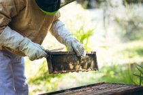 Midsection do homem sênior caucasiano usando uniforme de apicultor segurando um favo de mel. conceito de apicultura, apiário e produção de mel. — Fotografia de Stock