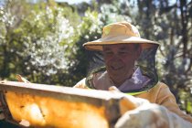 Felice uomo anziano caucasico in uniforme da apicoltore con un favo d'api in mano. apicoltura, apiario e miele concetto di produzione. — Foto stock